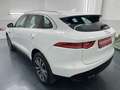 Jaguar F-Pace 20d AWD Prestige Aut. * SOFORT FINANZIERUNG MÖG... Weiß - thumbnail 3