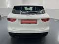 Jaguar F-Pace 20d AWD Prestige Aut. * SOFORT FINANZIERUNG MÖG... Weiß - thumbnail 4