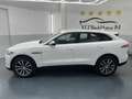 Jaguar F-Pace 20d AWD Prestige Aut. * SOFORT FINANZIERUNG MÖG... Weiß - thumbnail 2