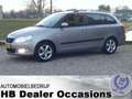Skoda Fabia Combi 1.2 TDI Greenline - Airco Beige - thumbnail 1