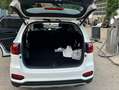 Kia Sorento Sorento 2.2 CRDi AWD Aut. Platinum Edition Weiß - thumbnail 7