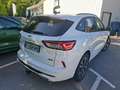 Ford Kuga 2.5 Duratec 225ch PHEV ST-Line Business BVA SUV - thumbnail 13