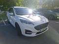 Ford Kuga 2.5 Duratec 225ch PHEV ST-Line Business BVA SUV - thumbnail 12