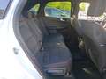 Ford Kuga 2.5 Duratec 225ch PHEV ST-Line Business BVA SUV - thumbnail 5