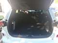 Ford Kuga 2.5 Duratec 225ch PHEV ST-Line Business BVA SUV - thumbnail 6