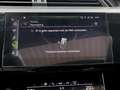 Audi e-tron 95kWh 55 Quattro 408pk / PANO / LUCHTVERING / CARP Grijs - thumbnail 31