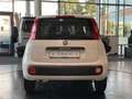 Fiat Panda 1.2 8V Easy CityPaket+ Connect Sitzhzg DAB Weiß - thumbnail 28