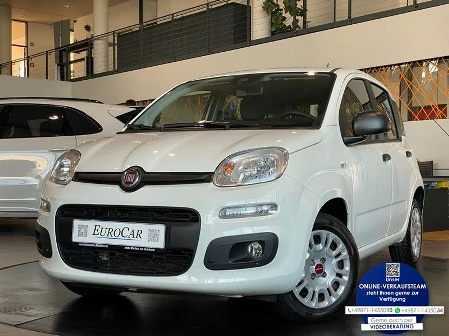 Fiat Panda 1.2 8V Easy CityPaket+ Connect Sitzhzg DAB Weiß - 1