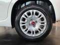 Fiat Panda 1.2 8V Easy CityPaket+ Connect Sitzhzg DAB Weiß - thumbnail 8
