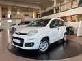 Fiat Panda 1.2 8V Easy CityPaket+ Connect Sitzhzg DAB Weiß - thumbnail 30