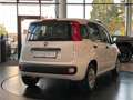Fiat Panda 1.2 8V Easy CityPaket+ Connect Sitzhzg DAB Weiß - thumbnail 6