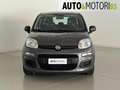 Fiat Panda 1.0 FireFly S&S Hybrid Easy Grigio - thumbnail 2