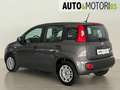 Fiat Panda 1.0 FireFly S&S Hybrid Easy Grigio - thumbnail 6