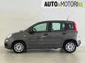 Fiat Panda 1.0 FireFly S&S Hybrid Easy Grigio - thumbnail 7