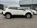 Opel Grandland X 1.2 Turbo Business Executive Navigatie Weiß - thumbnail 9