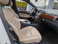 Mercedes-Benz ML 500 ML*4Matic*AMG LINE*Pano*360° Kamera*AHK Weiß - thumbnail 13