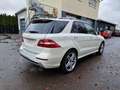 Mercedes-Benz ML 500 ML*4Matic*AMG LINE*Pano*360° Kamera*AHK Weiß - thumbnail 7
