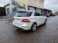 Mercedes-Benz ML 500 ML*4Matic*AMG LINE*Pano*360° Kamera*AHK Weiß - thumbnail 6