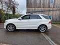 Mercedes-Benz ML 500 ML*4Matic*AMG LINE*Pano*360° Kamera*AHK Weiß - thumbnail 5