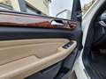 Mercedes-Benz ML 500 ML*4Matic*AMG LINE*Pano*360° Kamera*AHK Weiß - thumbnail 9