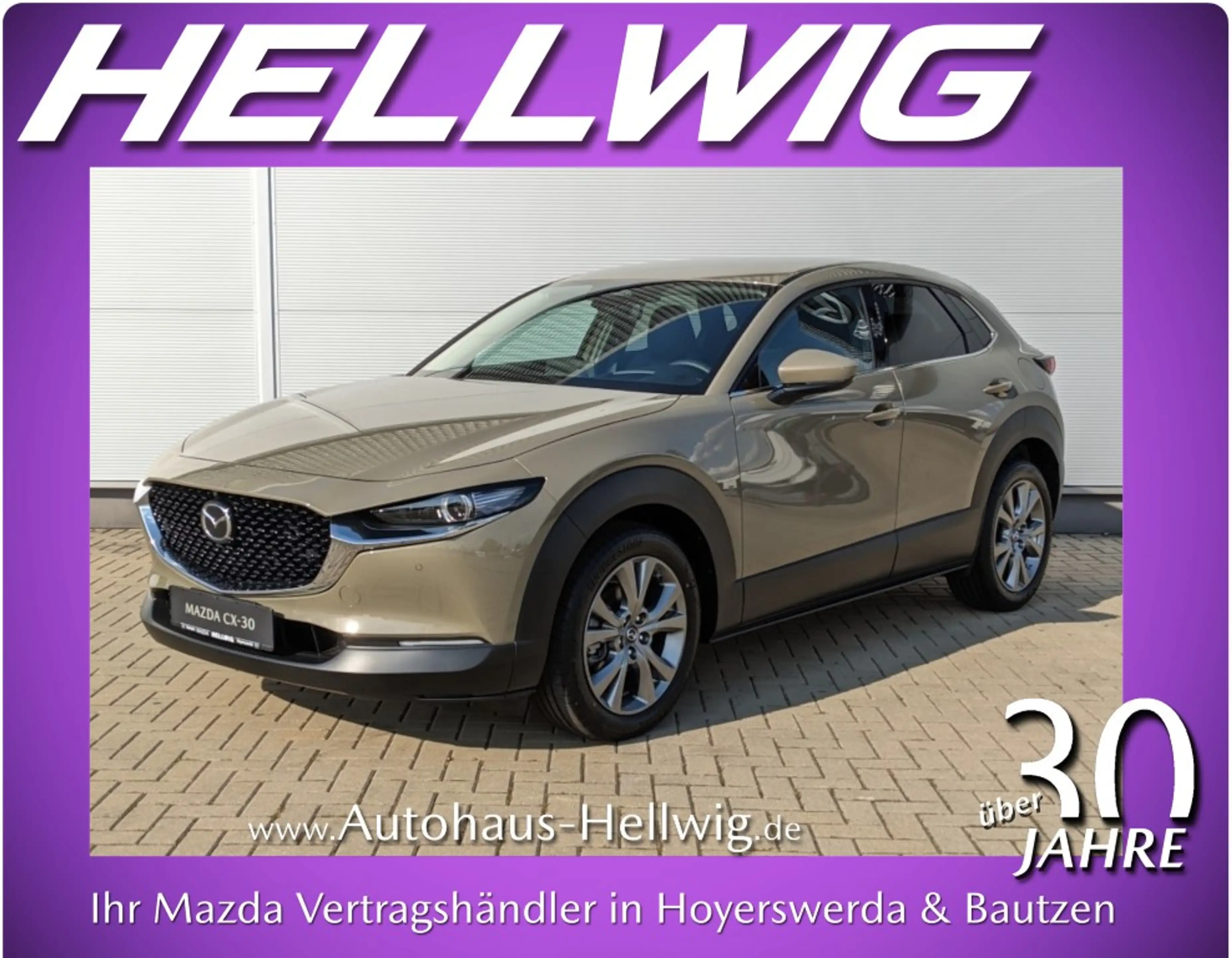 Mazda CX-30 2.5l (140PS) Exclusive Bose Matrix-LED 360°Kamera