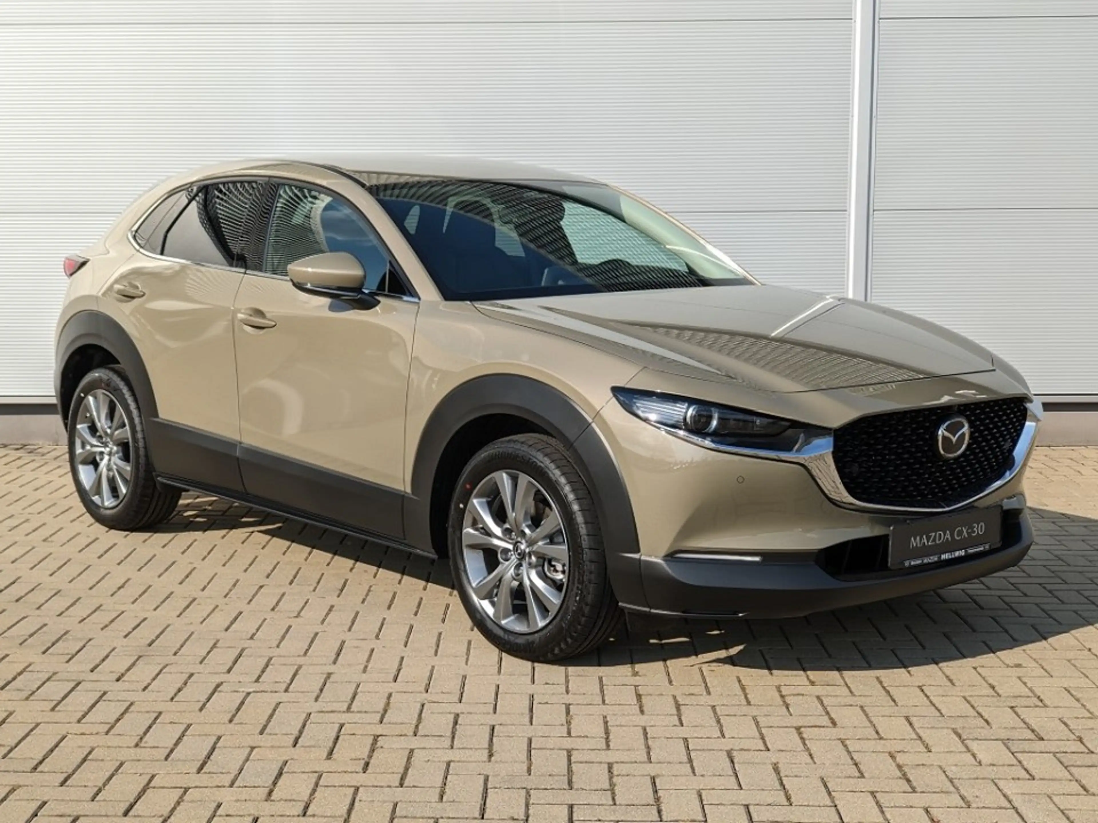 Mazda CX-30 2.5l (140PS) Exclusive Bose Matrix-LED 360°Kamera — photo 7