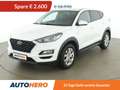 Hyundai TUCSON 1.6 CRDi LEVEL 4 2WD Aut. *NAVI*SHZ*CAM* Weiß - thumbnail 1