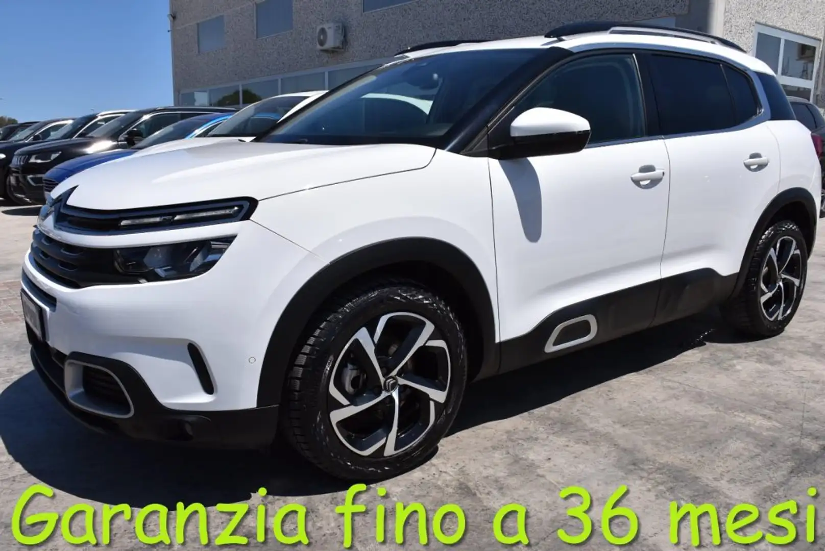 Citroen C5 Aircross BlueHDi 130 S&S EAT8 Feel Pack Bianco - 1