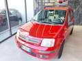 Fiat Panda 1.2 Dynamic (Garanzia 12 mesi) Rosso - thumbnail 2