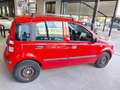 Fiat Panda 1.2 Dynamic (Garanzia 12 mesi) Rosso - thumbnail 6