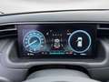 Hyundai TUCSON 1.6 T-GDI 48V Prime 4WD Navi Klima Leder Blau - thumbnail 10