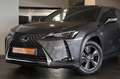 Lexus UX 300h UX 300h  Aut Navi Cam DodeH LijnA ACC Garantie Gris - thumbnail 2