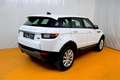 Land Rover Range Rover Evoque 2,0 D150 Aut. Weiß - thumbnail 3