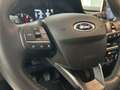 Ford Fiesta Active 1.0 ecoboost h 125cv Rood - thumbnail 12