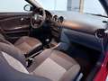 SEAT Ibiza 1.4TDi Reference 80 Rojo - thumbnail 5