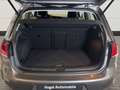 Volkswagen Golf VII 1.2 TSI BMT Cup +Nur Gewerbe Gris - thumbnail 10
