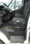 Ford Transit 350 L4 Trend Bianco - thumbnail 11