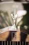 Rolls-Royce SILVER CLOUD I - thumbnail 3