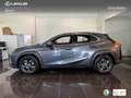 Lexus UX 300h + Grau - thumbnail 13