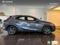 Lexus UX 300h + Grau - thumbnail 3