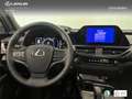 Lexus UX 300h + Grau - thumbnail 11