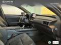Lexus UX 300h + Grau - thumbnail 6
