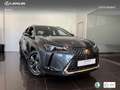 Lexus UX 300h + Grau - thumbnail 12
