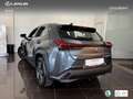 Lexus UX 300h + Grau - thumbnail 14