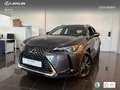Lexus UX 300h + Grau - thumbnail 1