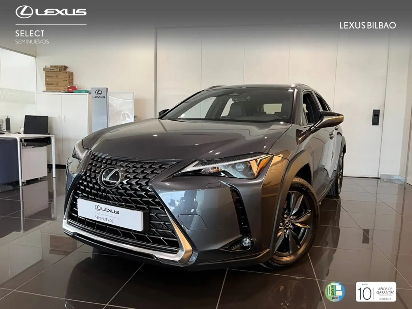 Lexus UX 300h + Grau - 1