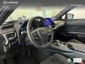 Lexus UX 300h + Grau - thumbnail 19
