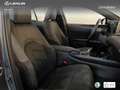 Lexus UX 300h + Grau - thumbnail 21