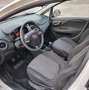 Fiat Punto Punto III 2012 5p 1.3 mjt 16v Street 75cv E5+ Bianco - thumbnail 9