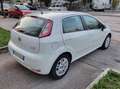 Fiat Punto Punto III 2012 5p 1.3 mjt 16v Street 75cv E5+ Bianco - thumbnail 6